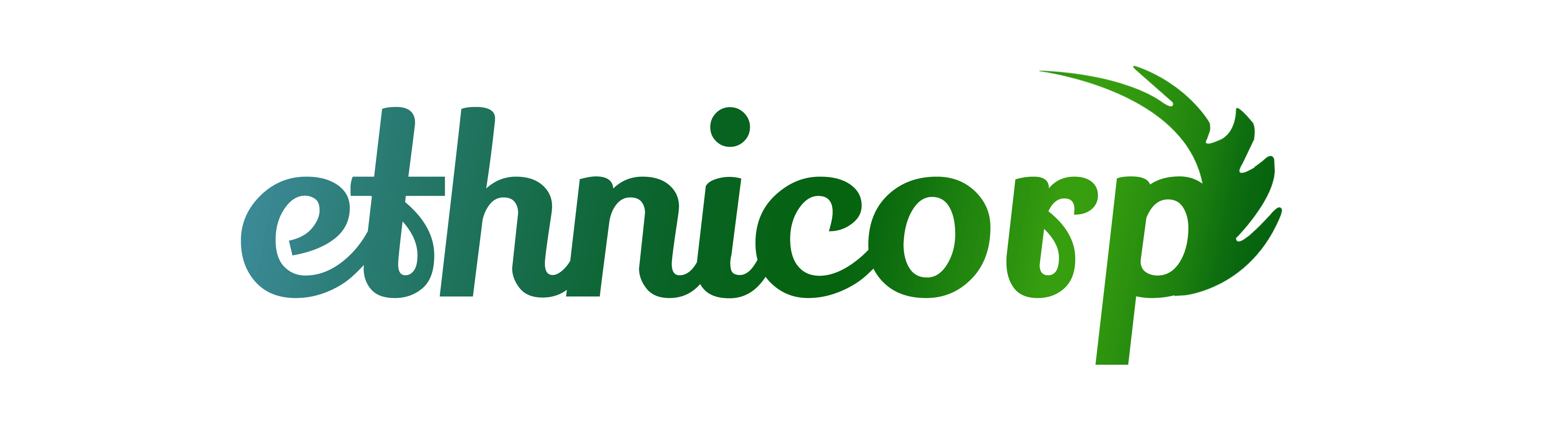 Ethnicorp logo